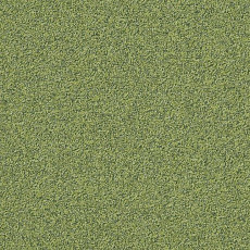 Ковровая плитка Interface Biosfera Boucle 7889 Smeraldo фото 1 | FLOORDEALER